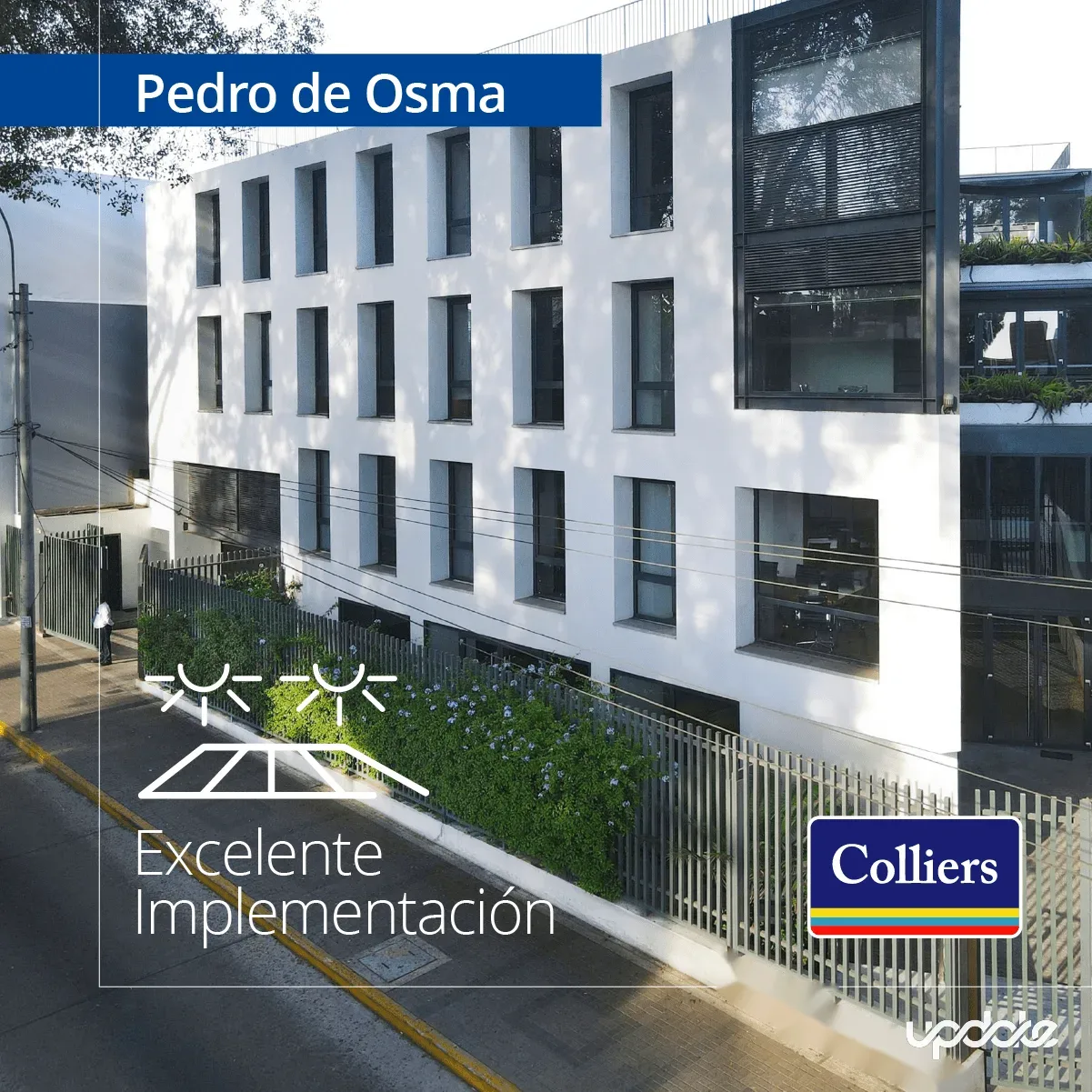Colliers — CAMPAÑAS SEM
