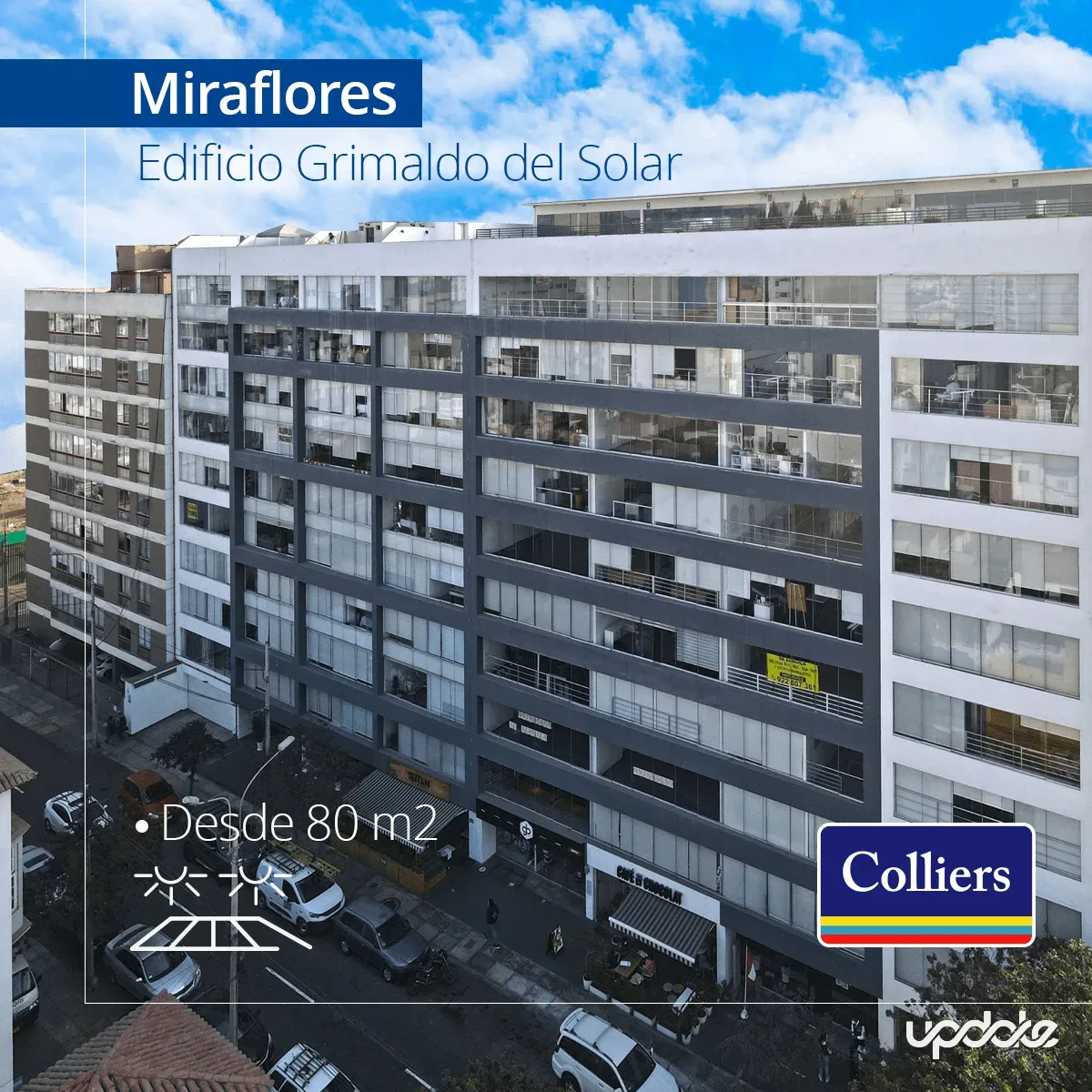 Colliers — CAMPAÑAS SEM