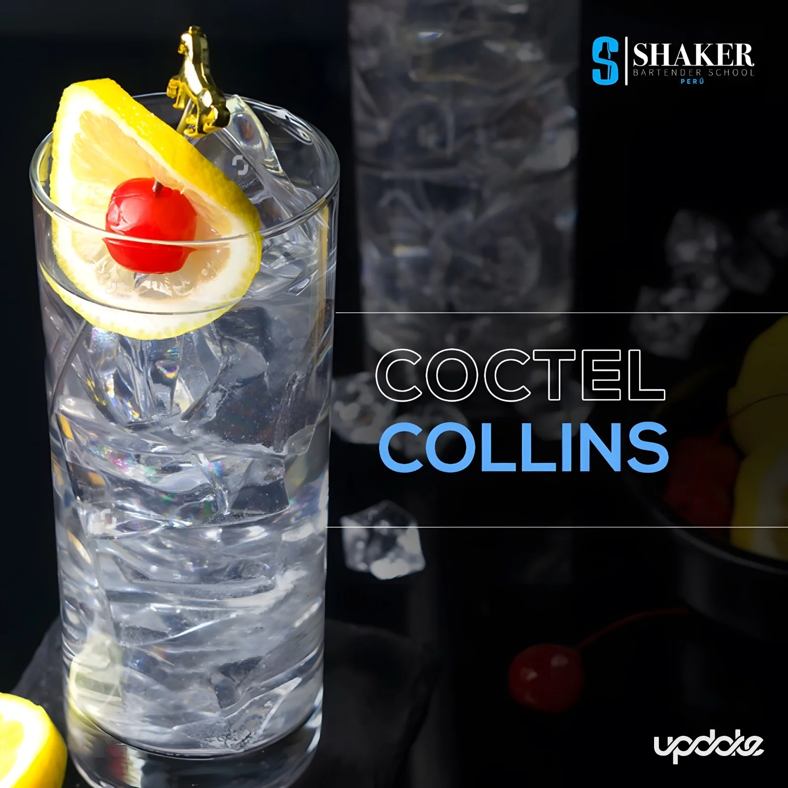 Shacker Bar Tender School — CAMPAÑAS SEM