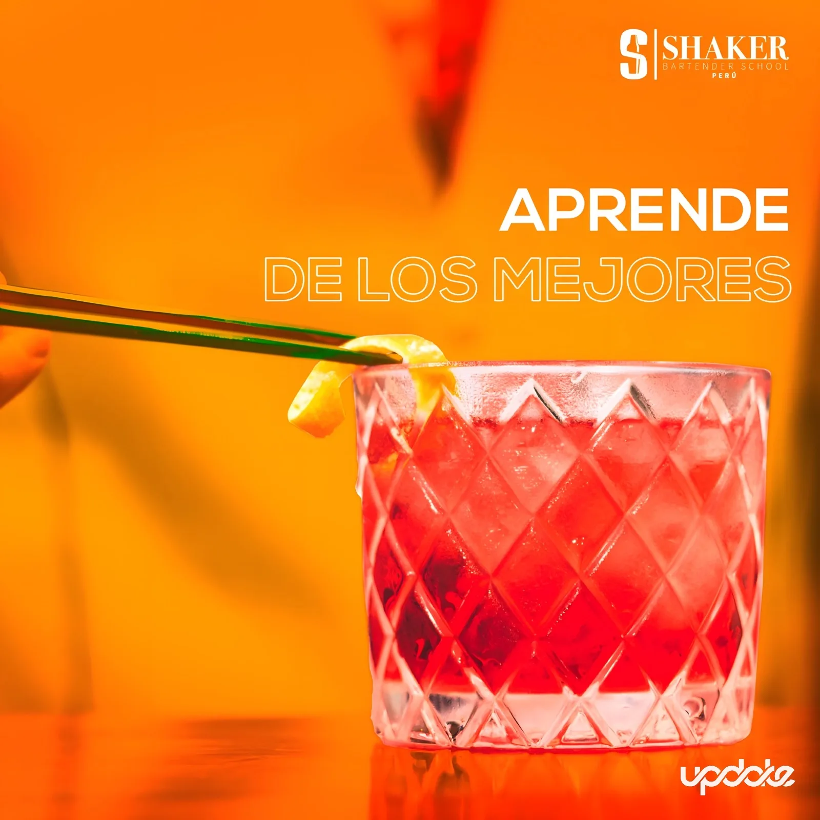 Shacker Bar Tender School — CAMPAÑAS SEM